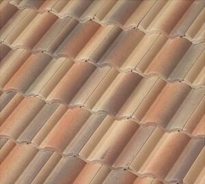 South Beach Blend – Color Coat